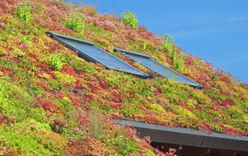 Lemsford living roof systems